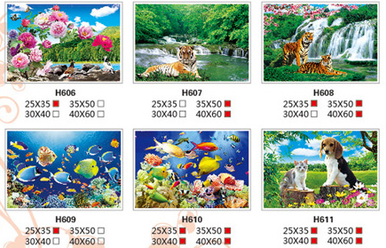 3D���ӡˢƷ/3D���w��/��������/�����콭/һ���L(f��ng)� H598-663